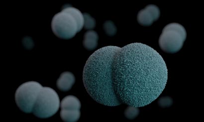 Corona Kennisdossier